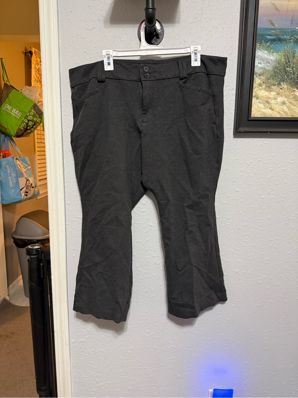 Women’s Torrid studio trouser boot pants Heather gray 22 extra short